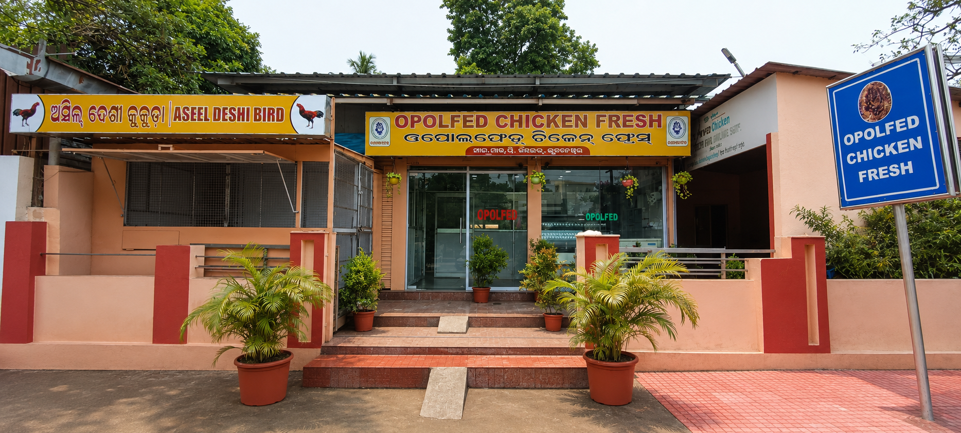 OPOLFED Checken Fresh Outlet